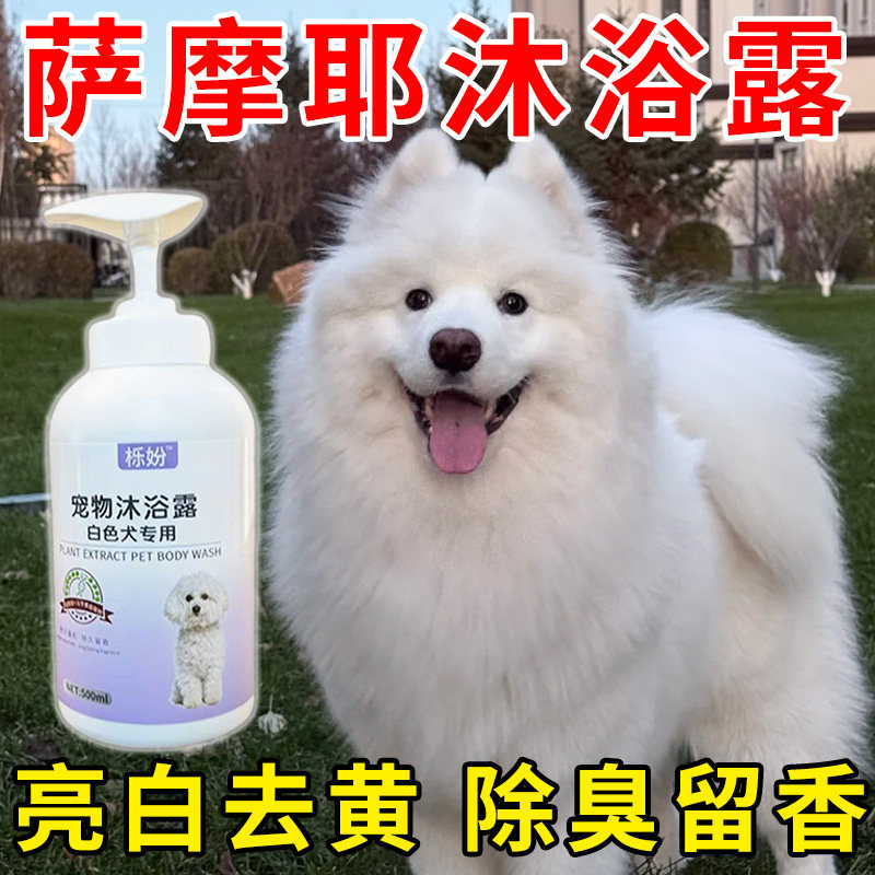 白毛犬沐浴露白毛去黄增白专用幼犬美毛去黄洗澡除臭留香