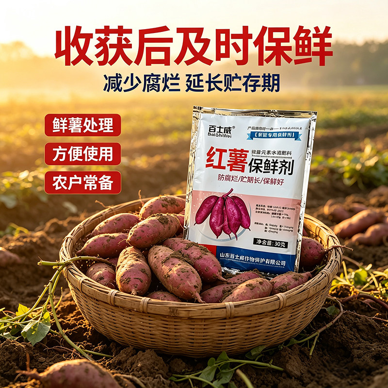 红薯保鲜剂土豆生姜甘蔗药材人参防腐保鲜剂延长储存防腐烂防黑斑