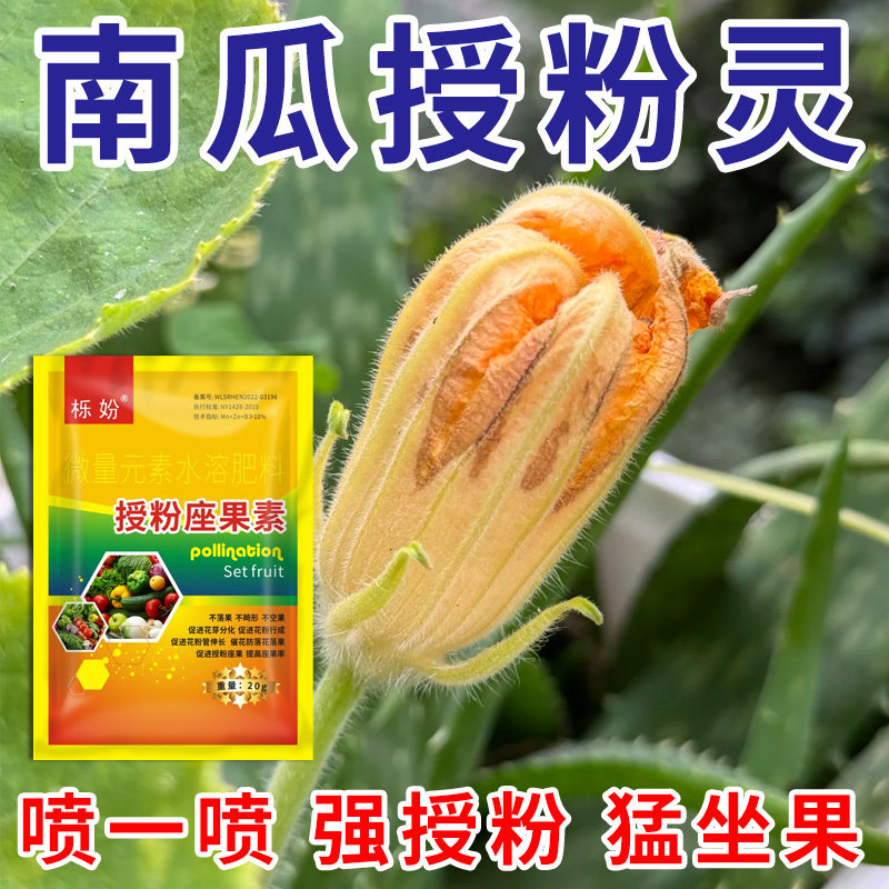 南瓜授粉座果精无需粘花催花坐果灵茄瓜授粉露保花保果专用剂