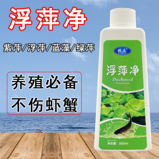 养殖不伤藕虾蟹圆心萍浮净化水质绿藻青苔水藻褐藻浮萍净