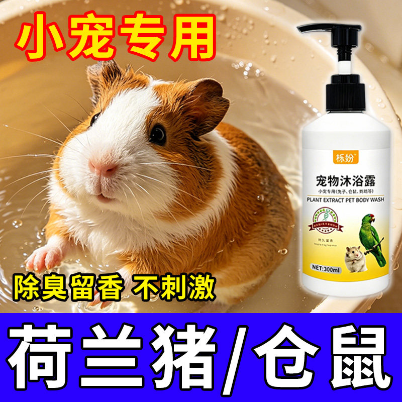 荷兰猪沐浴露除臭专用豚鼠荷兰猪沐浴露抗菌除臭除螨豚鼠洗澡用品