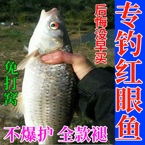 红眼鱼用饵料钓赤眼鳟红眼鱼终结者腥香窝料四季通爆护