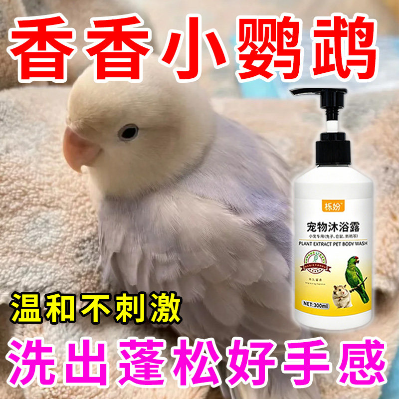 鹦鹉沐浴露除臭专用豚鼠荷兰猪沐浴露抗菌除臭除螨豚鼠洗澡用品