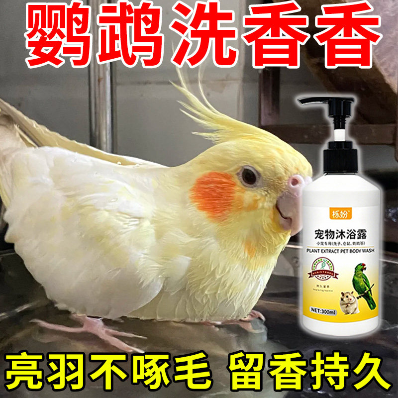 鹦鹉沐浴露除臭专用豚鼠荷兰猪沐浴露抗菌除臭除螨豚鼠洗澡用品