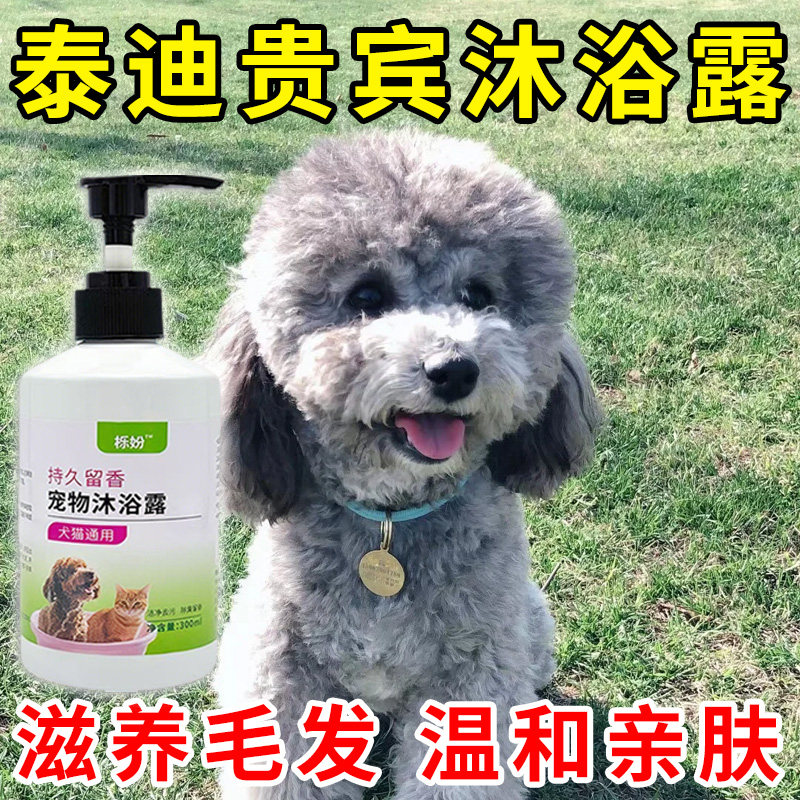泰迪专用沐浴露亮白去黄狗狗白毛犬沐浴液宠物狗清洁用品香波