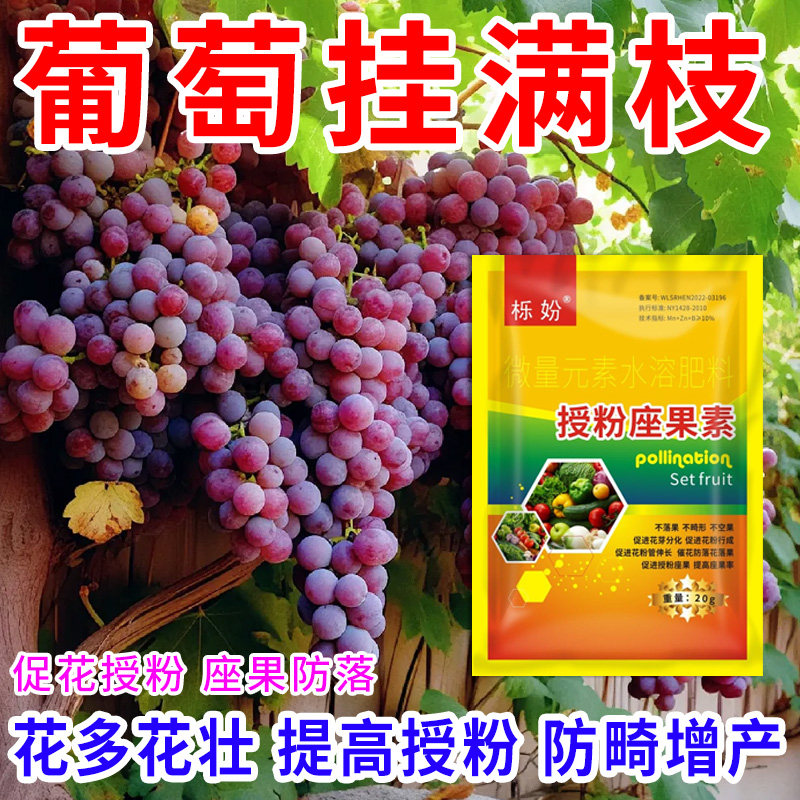 葡萄授粉座果精无需粘花催花坐果灵茄瓜授粉露保花保果专用剂