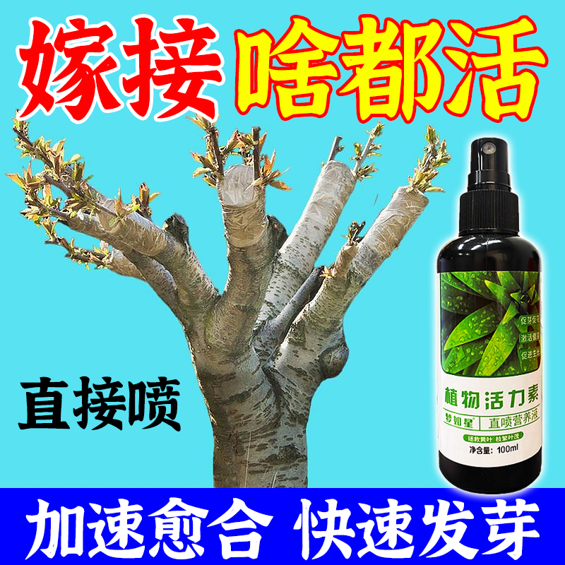 【嫁接】嫁接植物盆景花卉伤口防护愈合剂植物活力素