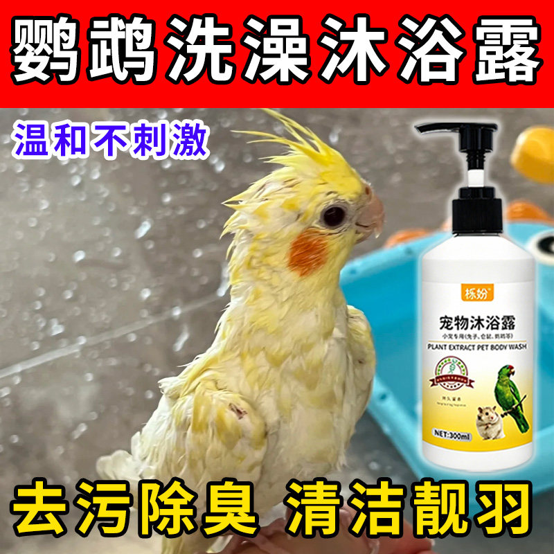 鹦鹉沐浴露除臭专用豚鼠荷兰猪沐浴露抗菌除臭除螨豚鼠洗澡用品