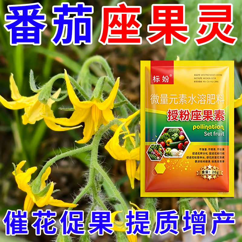 番茄授粉座果精无需粘花催花坐果灵茄瓜授粉露保花保果专用剂