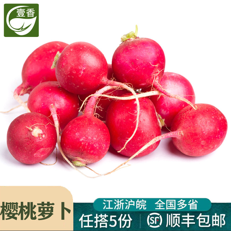 壹香 樱桃萝卜500g 水果圆萝卜红丁小红萝卜凉拌新鲜蔬菜沙拉食材,水产肉类/新鲜蔬果/熟食,萝卜/胡萝卜,淘宝优惠券,粉丝福利购,淘宝优惠卷