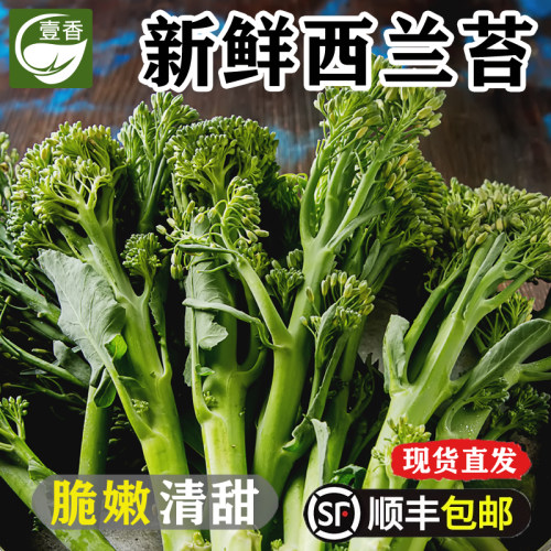 新鲜西兰苔1-5斤农家时令蔬菜