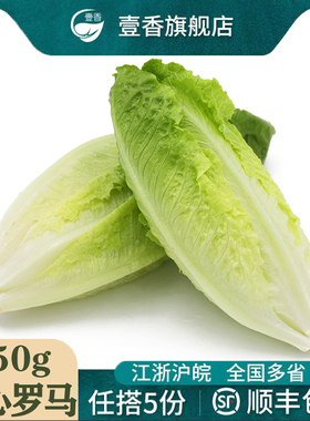 壹香 包心罗马生菜250g 罗纹凯撒生菜西餐沙拉蔬菜轻食色拉食材