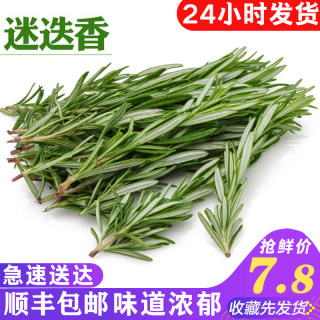 新鲜迷迭香250g 迷迪迷失香西餐煎牛排烧烤食用香料调料西餐配料