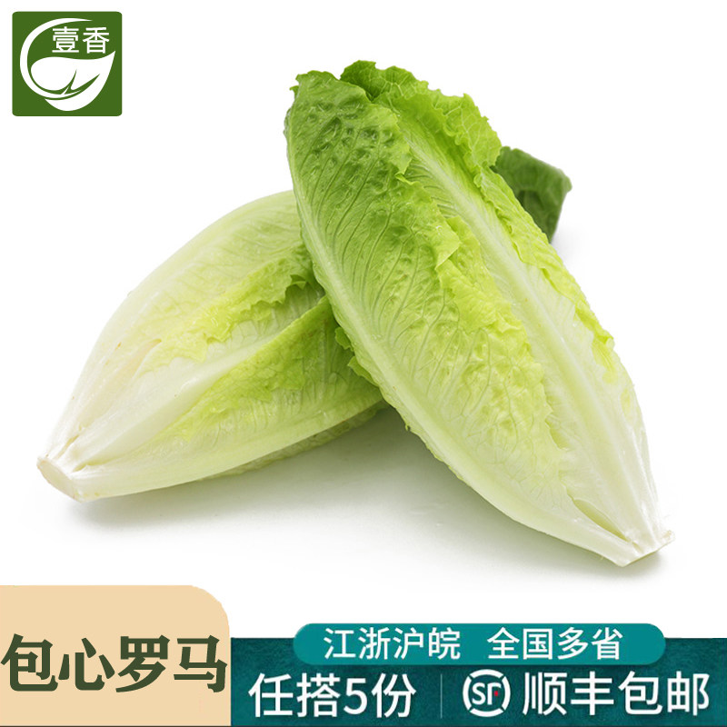 壹香 包心罗马生菜500g 罗纹凯撒生菜新鲜沙拉蔬菜绿叶菜色拉食材