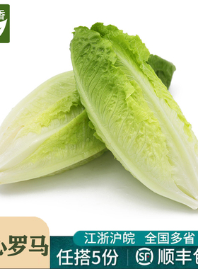 壹香 包心罗马生菜500g 罗纹凯撒生菜新鲜沙拉蔬菜绿叶菜色拉食材
