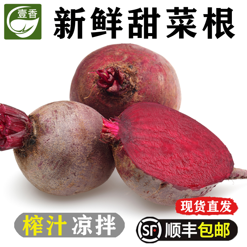 新鲜甜菜根5斤 甜菜头甜根菜紫红菜头 西餐摆盘榨汁新鲜蔬菜配菜