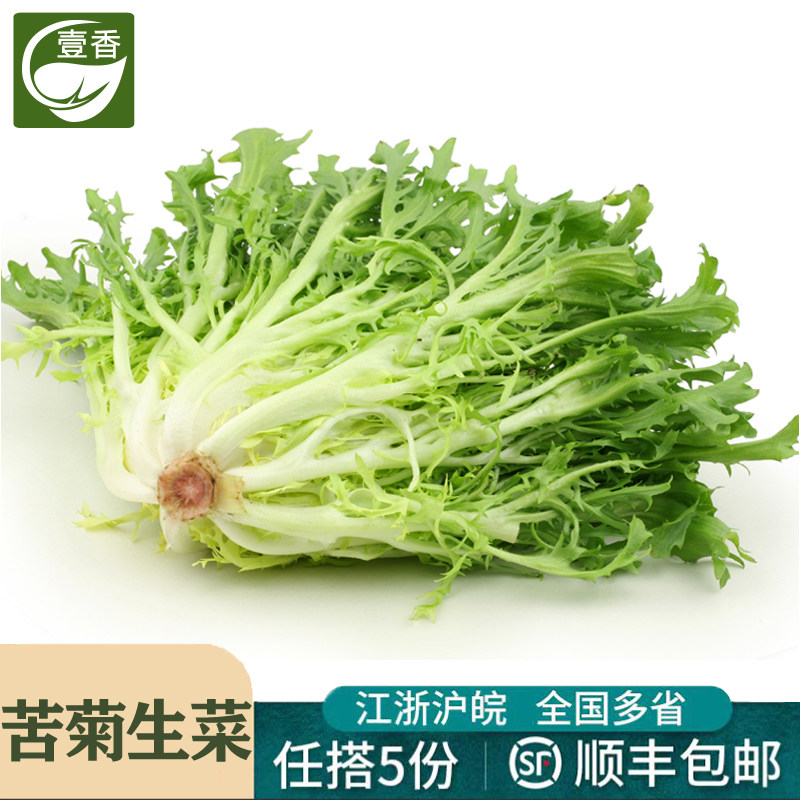壹香 苦菊500g 苦细叶 苦叶生菜 苦苣菜西餐蔬菜沙拉食材轻食蔬菜