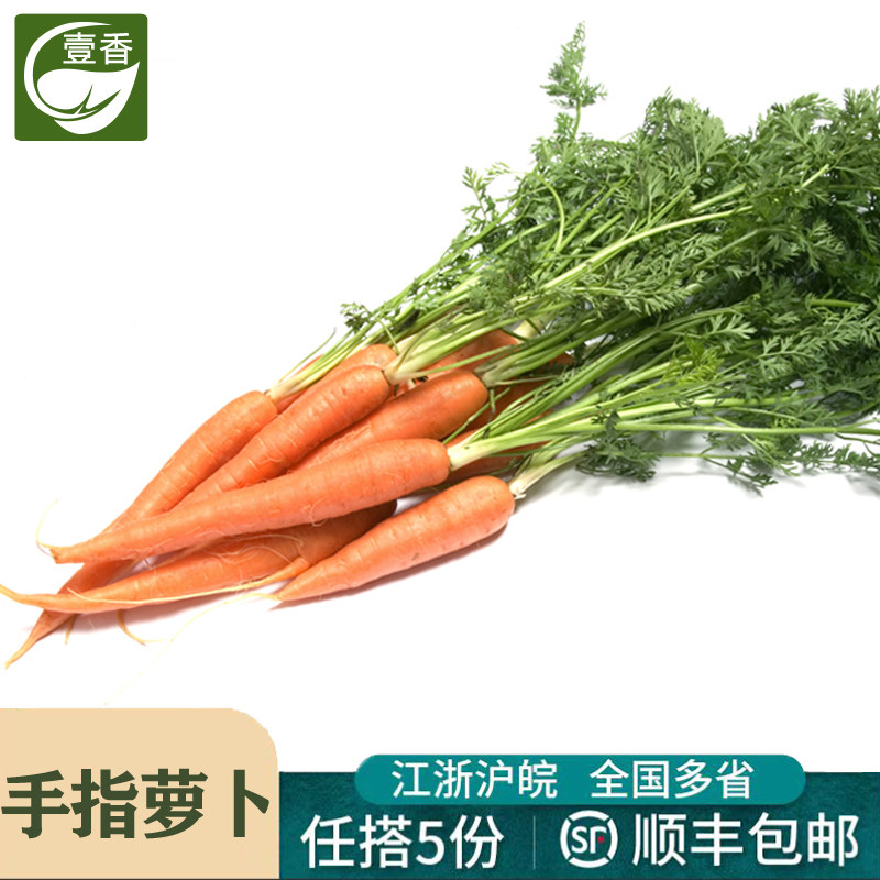 壹香 带叶手指胡萝卜500g 水果胡萝卜新鲜蔬菜沙拉色拉食材配菜,水产肉类/新鲜蔬果/熟食,萝卜/胡萝卜,淘宝优惠券,粉丝福利购,淘宝优惠卷