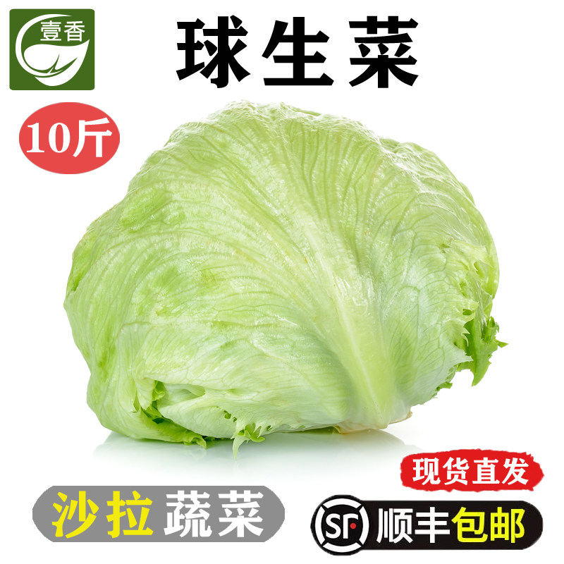 球生菜10斤汉堡沙拉用西生菜新鲜蔬菜圆生菜西餐健身轻食沙拉食材