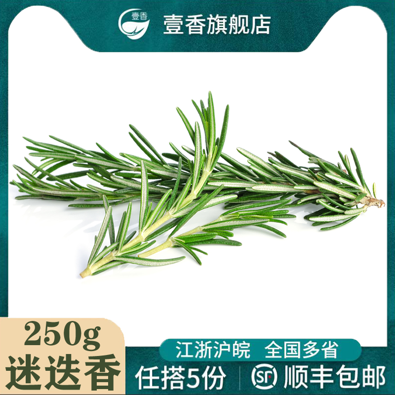 壹香 迷迭香250g 新鲜迷迪香煎...