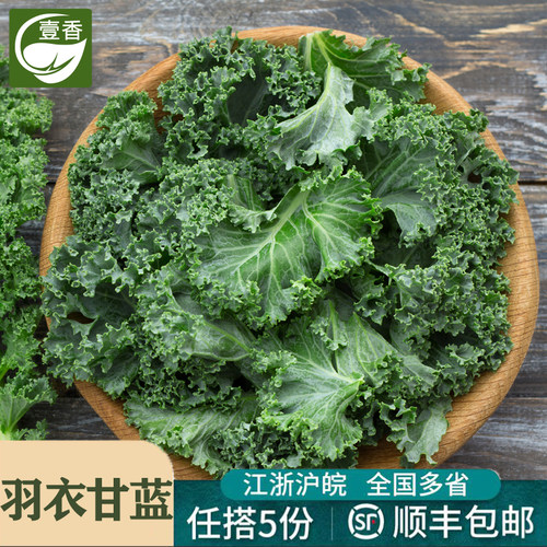 新鲜羽衣甘蓝健身轻食沙拉蔬菜