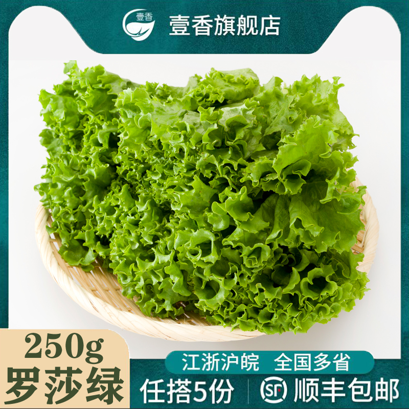 新鲜绿叶生菜西餐沙拉轻食蔬菜