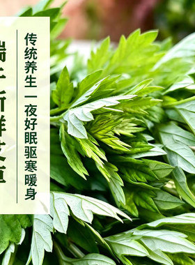 端午现采艾草花束驱蚊泡澡挂门窗