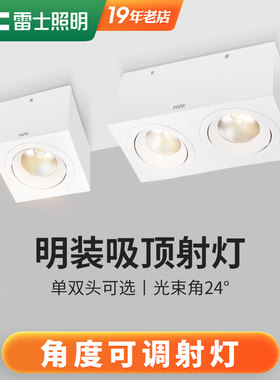 雷士照明COB明装斗胆灯
