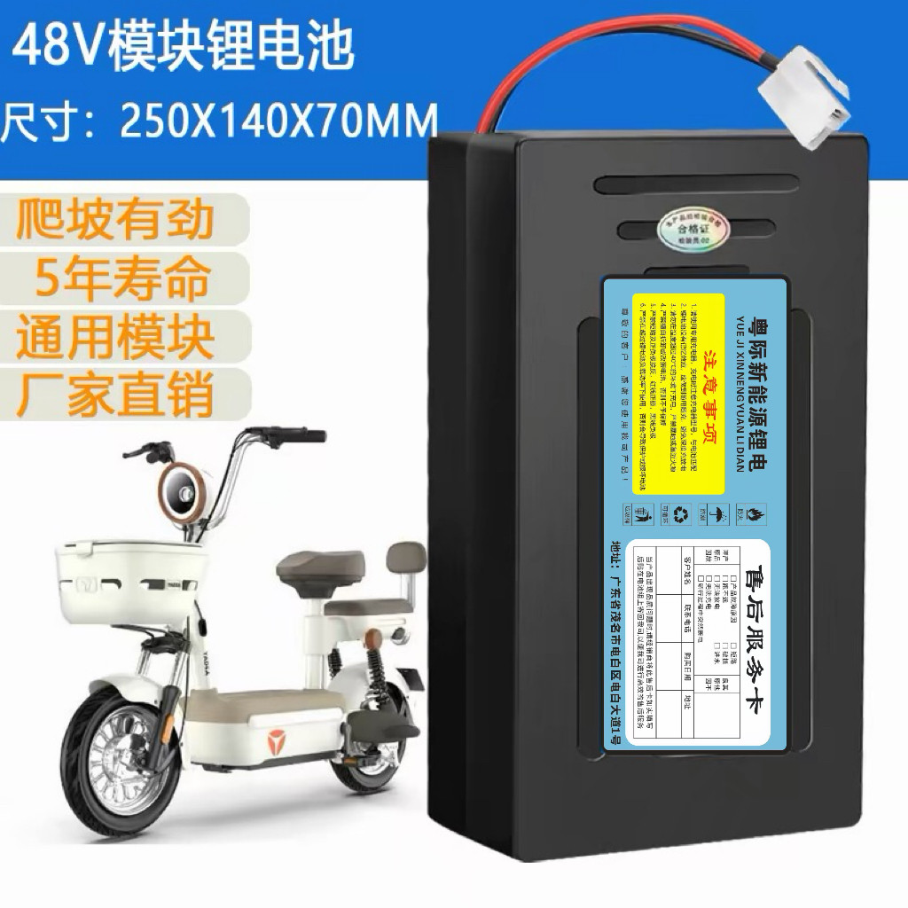 48v12AH电动车锂电池星恒通用20Ah大容量适用爱玛雅迪绿源图片