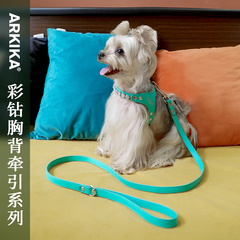 arkika牵引绳狗狗胸背小型犬链子猫狗外出绳子泰迪约克夏遛狗绳