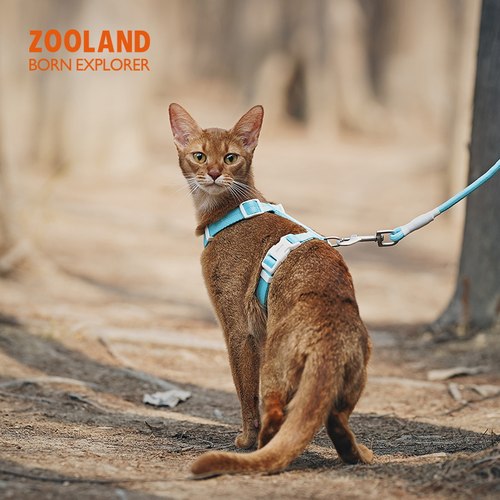 zooland遛猫绳工字型胸背