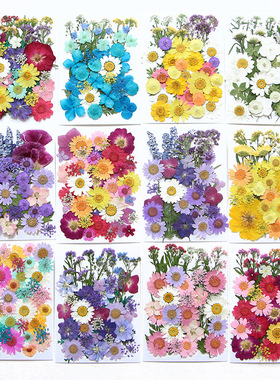 干花手工diy材料押花植物树叶标本贴枫叶书签压花装饰画天然真花