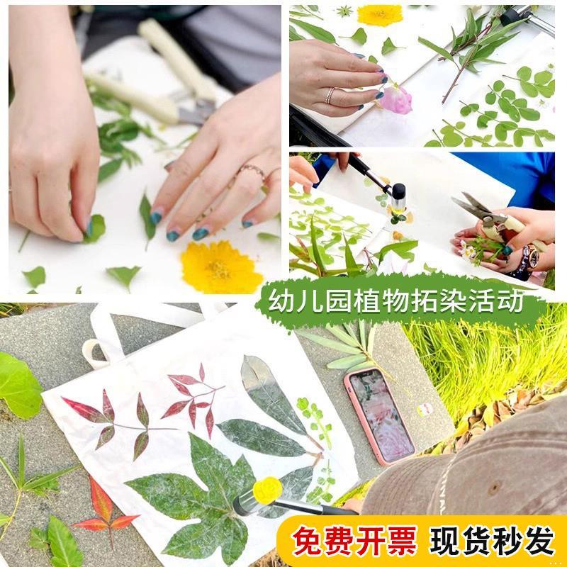 植物树叶敲拓染锤幼儿园儿童diy