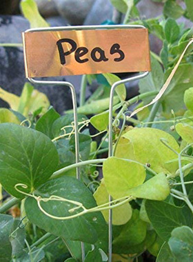 可写字插牌园艺花卉花盆植物标签金属花园盆栽防水标牌插地牌