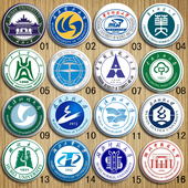 湖北68所本科高校华中科技师范农业武汉纺织轻工程大学校徽章胸针