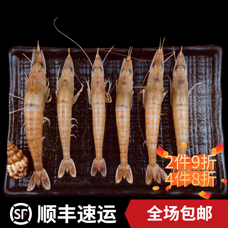 东山岛沙鲈虾海鲜水产大虾鲜活速冻对虾冻虾鲜虾活虾500g|msdalam kategori daging perikanan/Buah-buahan segar dan sayur-sayuran/dimasak, makanan laut/produk akuatik/produk, udang, udang beku - dari Buy2taobao.com untuk memberikan perkhidmatan ejen Taobao profesional membeli