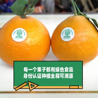 绿色生态种植高端新鲜水果爱媛果冻橙孕妇小孩品尝实惠8斤装精品