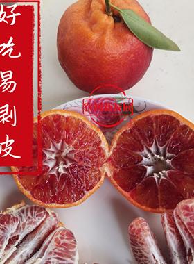 媛红柑橘红色柑橘生态种植口感纯正具有淡雅的玫瑰清香及葡萄口感