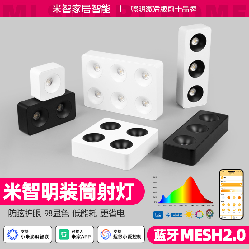 MESH2.0智能斗胆灯明装筒射灯