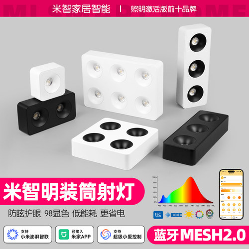 MESH2.0智能斗胆灯明装筒射灯