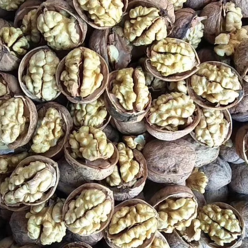 新疆特产阿克苏纸皮薄皮核桃手剥休闲食品产地发货500克热卖包邮