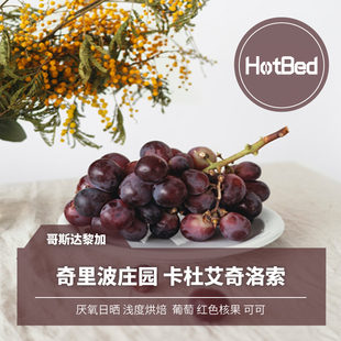 【温床咖啡】哥斯达黎加 奇里波庄园 厌氧日晒 卡杜艾奇洛索