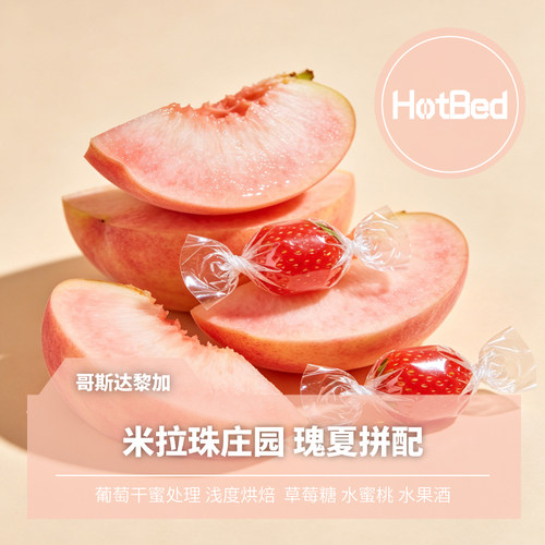 【温床咖啡 】哥斯达黎加米拉珠 葡萄干蜜处理瑰夏拼配酵素增味