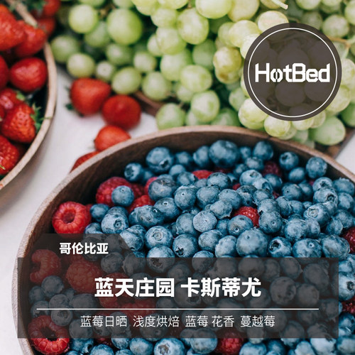 【温床咖啡】哥伦比亚 蓝天庄园 蓝莓日晒 卡斯蒂尤 鲜活莓果调性