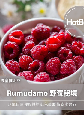 【温床咖啡】埃塞俄比亚 Rumudamo 野莓秘境G1 厌氧日晒 小众豆种