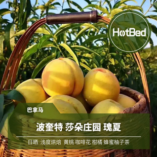 【挂耳】巴拿马 波奎特 莎朵庄园 日晒 瑰夏 5包 每包1