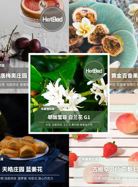 新产季b组咖啡温床咖啡