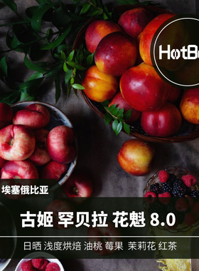 【温床咖啡】埃塞古姬罕贝拉 花魁9.0 畅销十年 埃塞咖啡标杆