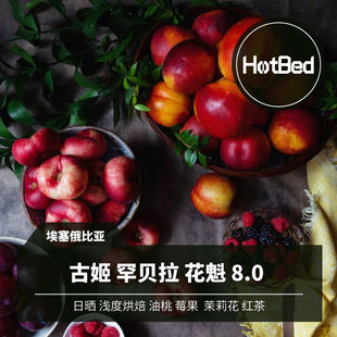 【温床咖啡】埃塞古姬罕贝拉 花魁9.0 畅销十年 埃塞咖啡标杆