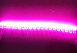 LED电子灯箱灯珠粉紫色高亮发光二极管灯条控制器双面超薄广告牌